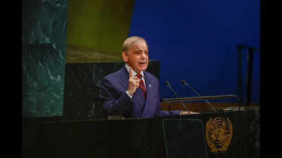 "Duplicity and Deceit": India Delivers Stinging Reply to Pakistan PM's Kashmir Rant at UN 1 pak pm