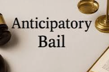 High Court Grants Anticipatory Bail to Malcolm Pereira in Sarpanch Assault Case 1 Screenshot 2026 10 01 144950